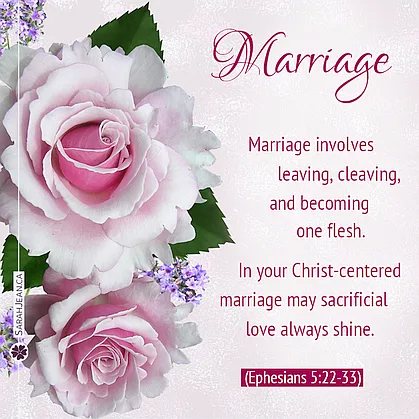 Free SarahJean Wedding eCard with a Christian message entitled 'Sacrificial Love'. Image of light pink large wedding flowers.