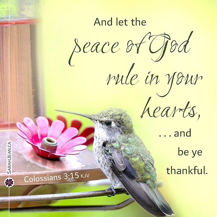 Scripture eCard entitled 'Peace Of God' with Colossians 3:15. Image of humming bird at bird feeder.