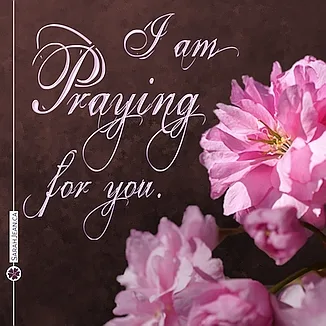 Free SarahJean Prayer eCard with a Christian message entitled 'Praying for You'. Image of rose pink flowers with burgundy background.