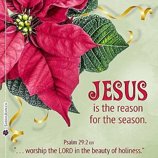 Free SarahJean Christmas eCard with a Christian message entitled 'Jesus Is the Reason'. Image of poinsettia flower.