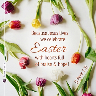 Free SarahJean Easter eCard with a Christian message entitled 'Celebrate Easter'. Image of many coloured mini tulips scattered in a circle around the text of ecard.