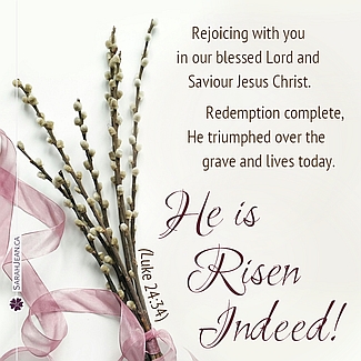 Free SarahJean Easter eCard with a Christian message entitled 'Risen Indeed'. Image of long stems with many flower buds and pink ribbon.