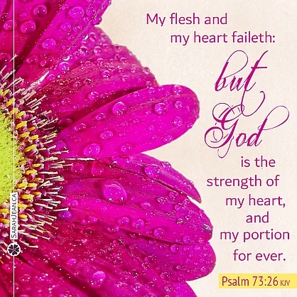 Free SarahJean Scripture eCard of Isaiah 53:5. Image of lovely pink flower.
