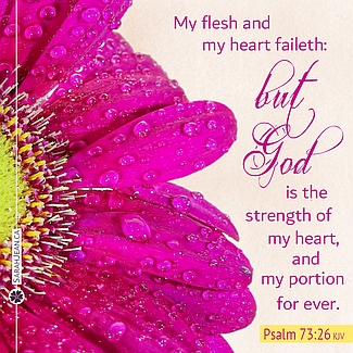 Scripture eCard titled, But God with Psalm 73:26. Image of a lovely pink flower.