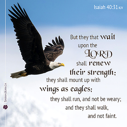 Scripture eCard entitled 'Wings as Eagles' with Isaiah 40:31. Image here of an eagle flying high in the sky.