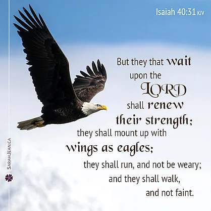 Scripture eCard entitled 'Wings as Eagles' with Isaiah 40:31. Image here of an eagle flying high in the sky.