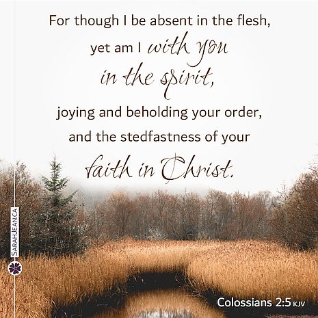 Scripture eCard entitled 'With You In Spirit' with Colossians 2:5. Image of a bog.