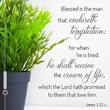 Scripture eCard entitled 'Crown Of Life' with James 1:12. Image of a green plant in a dark pot.