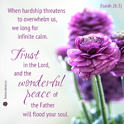 Free SarahJean Difficult Times eCard with a Christian message entitled 'Wonderful Peace'. Image of brilliant pink flowers.