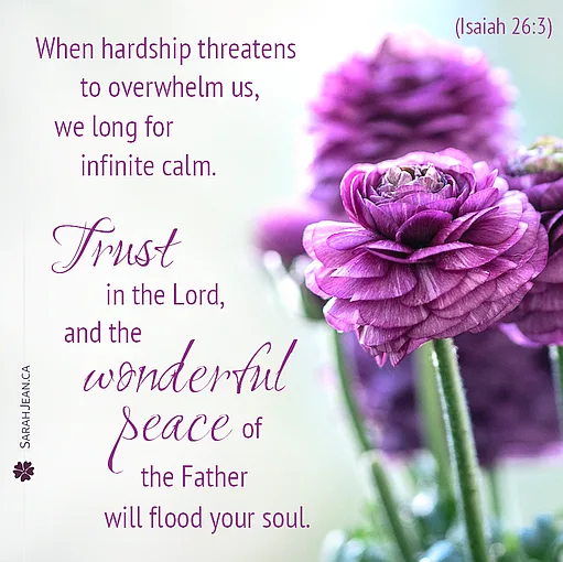 Free SarahJean Difficult Times eCard with a Christian message entitled 'Wonderful Peace'. Image of brilliant pink flowers.