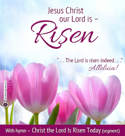 Free SarahJean Songs of the Soul eCard with a Christian message entitled 'Risen'. Image of pink tulips and blue sky.